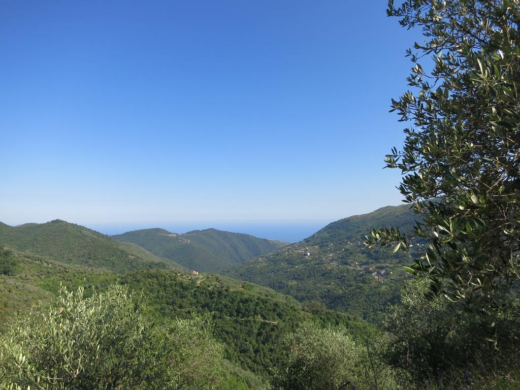 Villa Rustic Liguria Ceriana Exterior foto